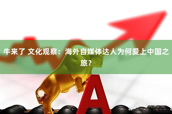 牛来了 文化观察：海外自媒体达人为何爱上中国之旅？