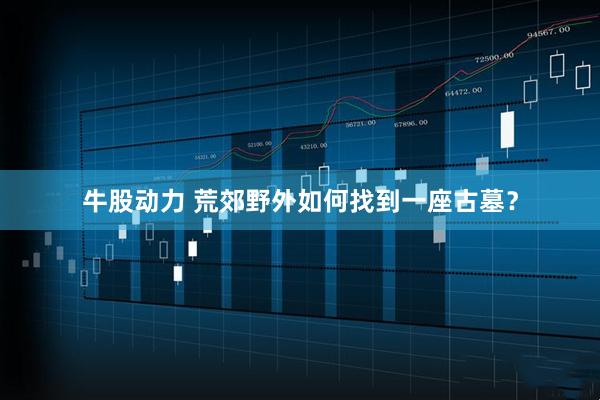 牛股动力 荒郊野外如何找到一座古墓？