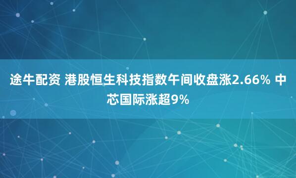 途牛配资 港股恒生科技指数午间收盘涨2.66% 中芯国际涨超9%