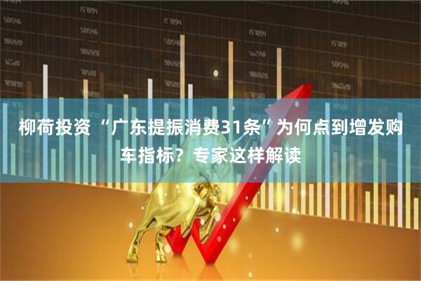 柳荷投资 “广东提振消费31条”为何点到增发购车指标？专家这样解读