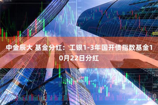 中金辰大 基金分红：工银1-3年国开债指数基金10月22日分红