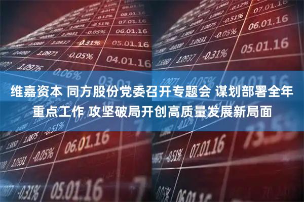 维嘉资本 同方股份党委召开专题会 谋划部署全年重点工作 攻坚破局开创高质量发展新局面