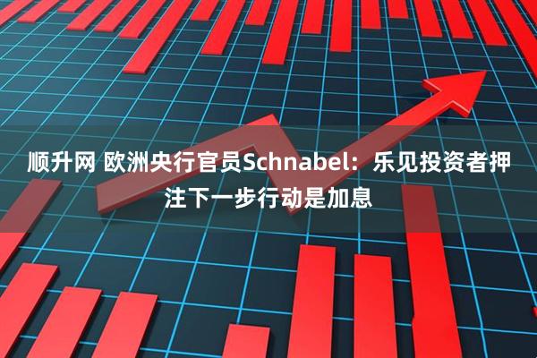 顺升网 欧洲央行官员Schnabel:乐见投资者押注下一步行动是加息