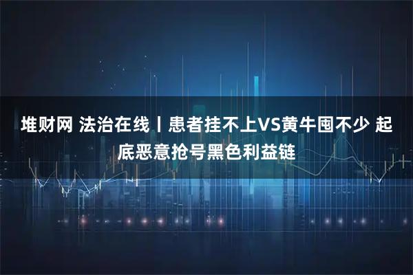 堆财网 法治在线丨患者挂不上VS黄牛囤不少 起底恶意抢号黑色利益链