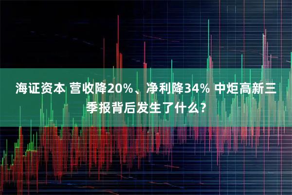 海证资本 营收降20%、净利降34% 中炬高新三季报背后发生了什么?