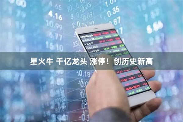 星火牛 千亿龙头 涨停!创历史新高