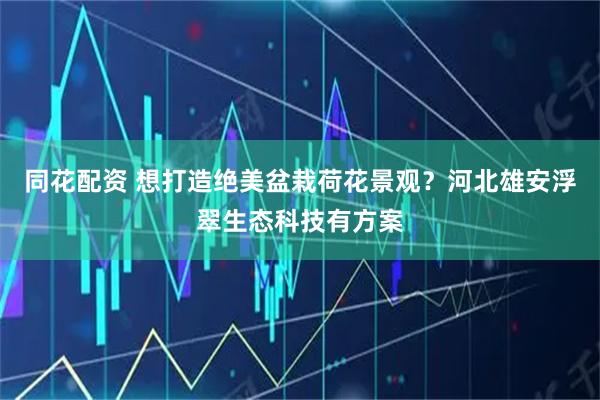 同花配资 想打造绝美盆栽荷花景观？河北雄安浮翠生态科技有方案